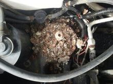 Air cleaner area