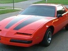My "whip"