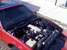 Working on cleaning the engine bay