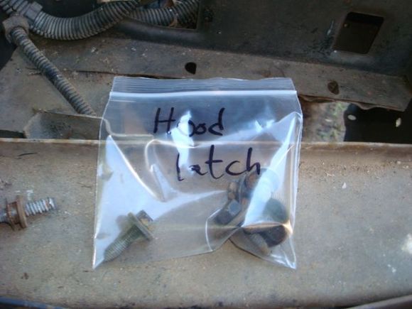 Bag and tag all the hardware so I have it going back together.