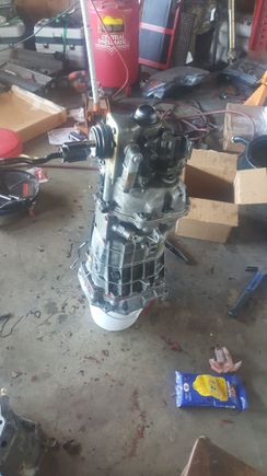 T-56 rebuild