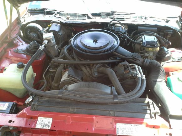 100% stock engine bay 5.0 v8 4 speed automatic