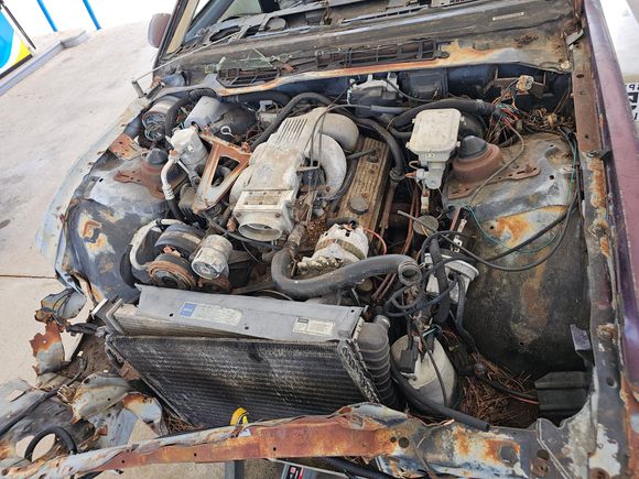 SLP runners, and Lingenfelter throttle body