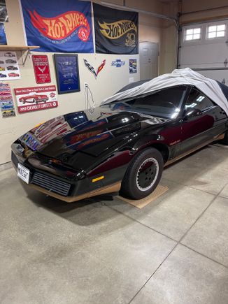 Spring has sprung in MN!  Started up good!  