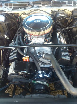 had to clean up that underhood nastiness a little bit