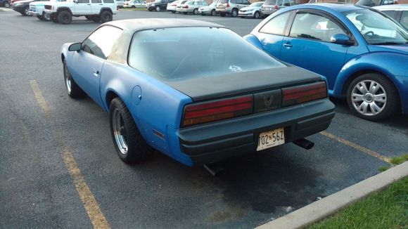 Turned out nice, no trumpets after photos- looking for stainless turn-downs (tucked tight)