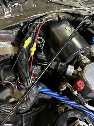 Black & red wires removed from black connector