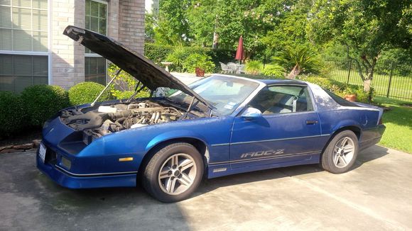 how she looked when I bought her