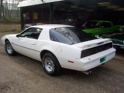 firebird 83 achter gr