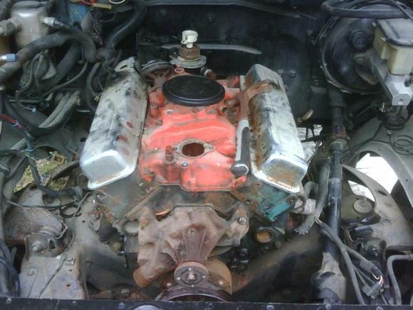 the replacement going to paint and rebuild it