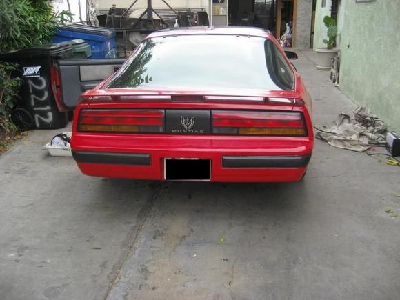 firebird
