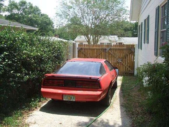 032 my babe is back home in the backyard