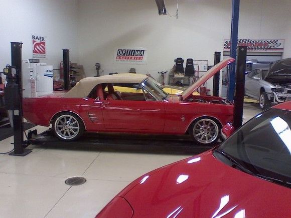 mustang with the boring 4.6