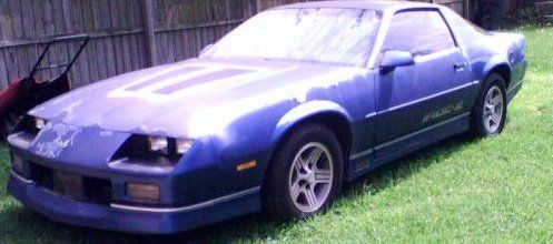 the paint