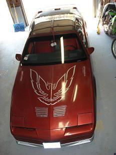 Ben's Transam 3 01FEB09 smaller