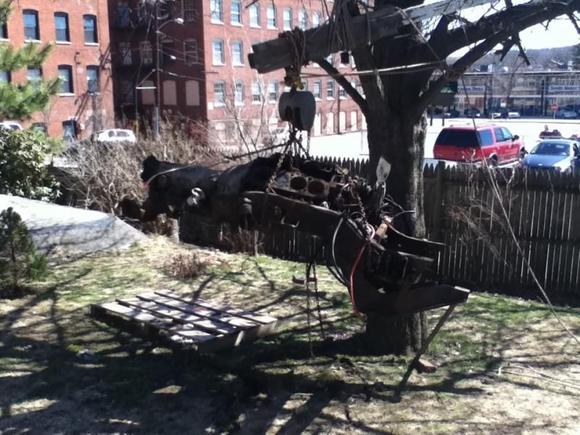 future motor hanging from my tree... how we do it when we have only rope a tree and chains haha