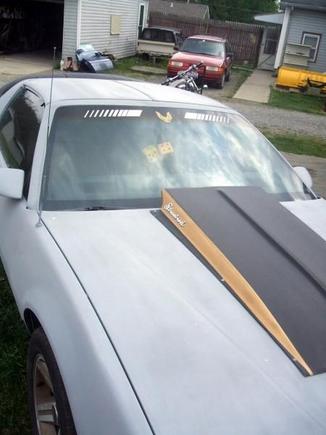 nice big hood scoop