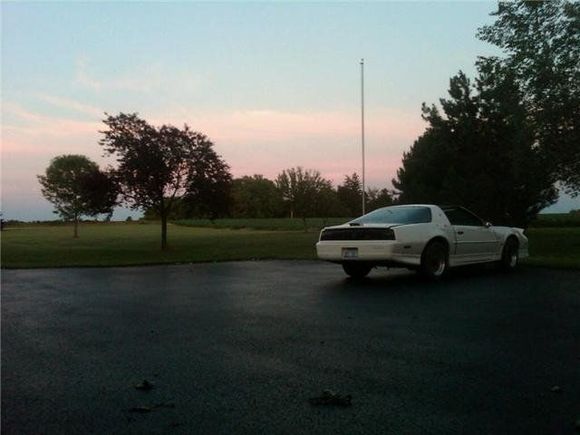 my favorite pic of Sue