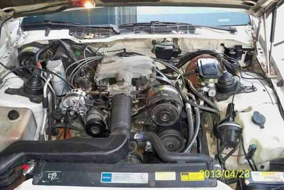 3.1 v6