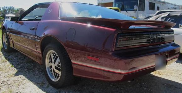1985 Trans Am WS6 03 d