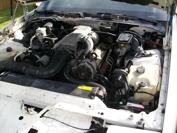 pressure cleaned the motor...now I can get to work!!