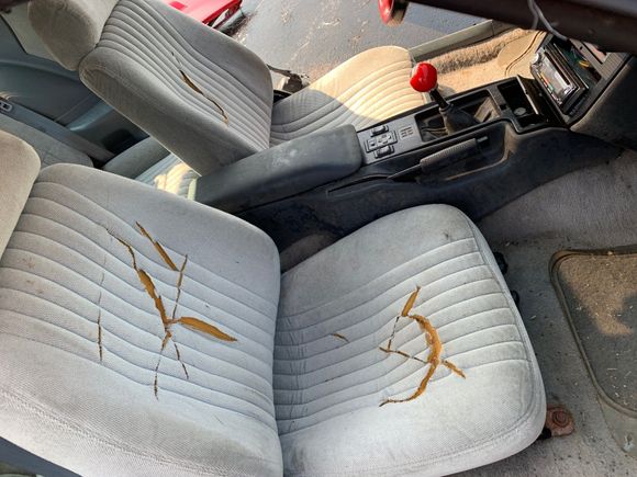 seats were vandalized in 2001