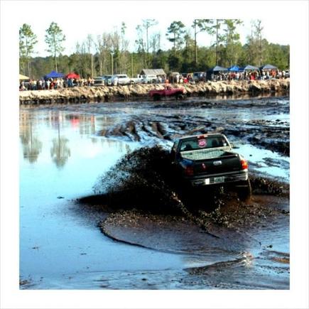 hogwaller mudbog