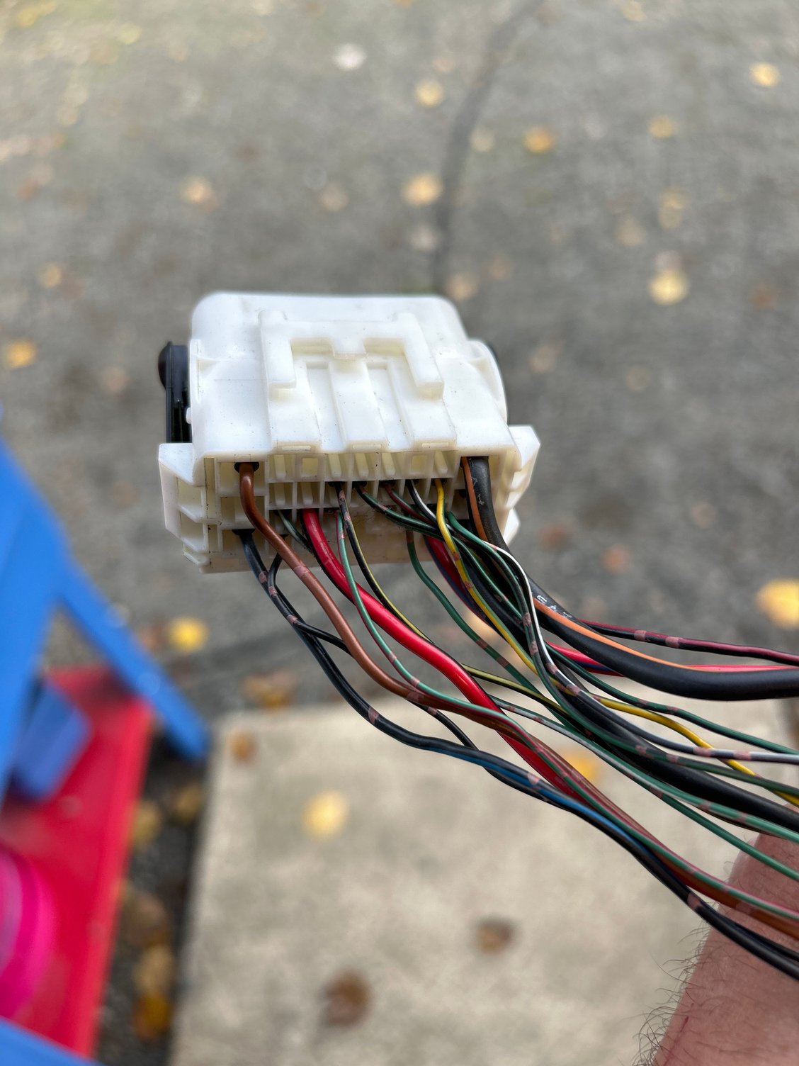 II1 plug from body harness of donor, male side.