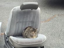 Hey, Rey? I’m gonna need that seat back now...