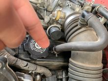 Attempting to get photo up here 