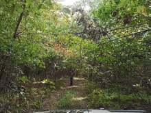 Getting just the right shot.