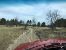 back to the sand
