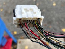 II1 plug from body harness of donor, male side.