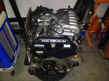 Donor 3.4 frt