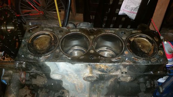 as you can see the cylinders where a little fouled up with carbon.