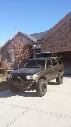 First picture of her the day after I bought her