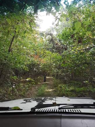 Getting just the right shot.