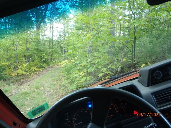 from the driver seat