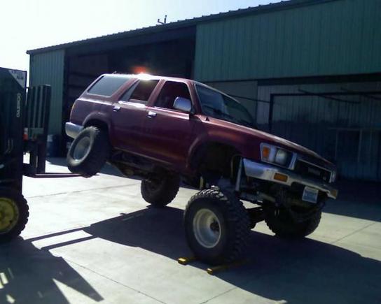 Flexing for the first time. About 2 feet off the ground