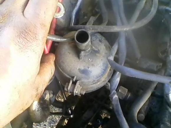 exhaust bulb