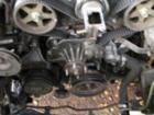 Timing cover off about to remove timing belt.