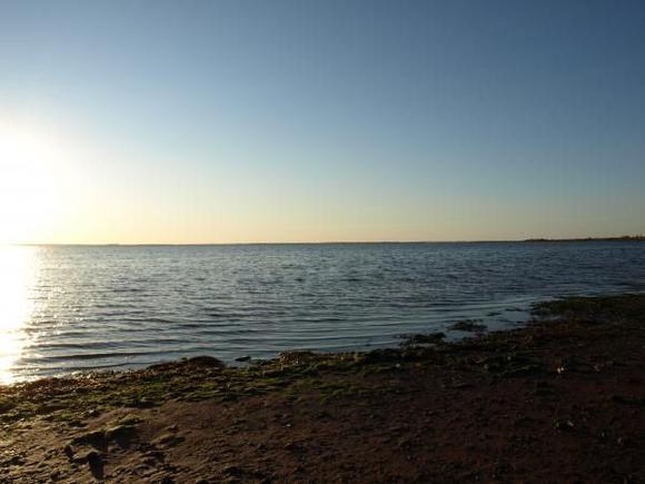 Malpeque Bay