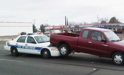 our friendly PD going after our Toyota's! this guys really wants one now!