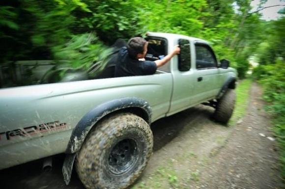 jeep eater makin the friends eat some tree