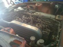 IMG00234 20120324 1121