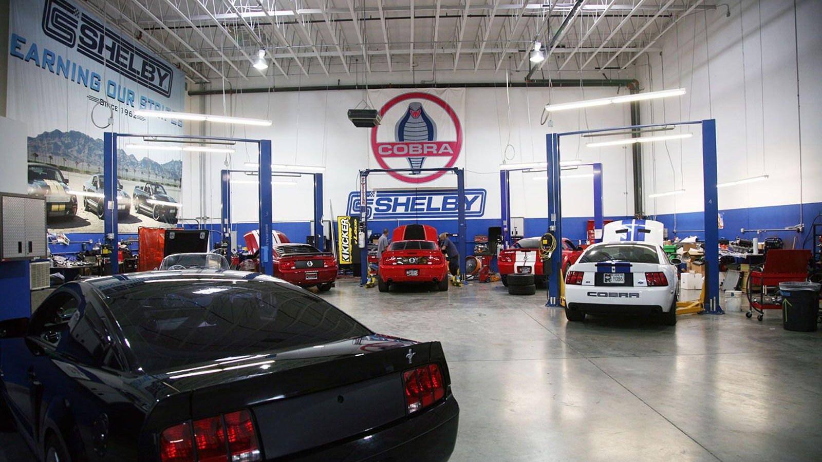 Shelby American Speed Shop - Image: Mustangs Daily