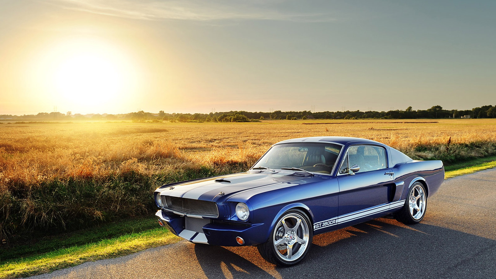 Classic Recreations 1966 Mustang Fastback Shelby Gt350cr Is A Beauty
