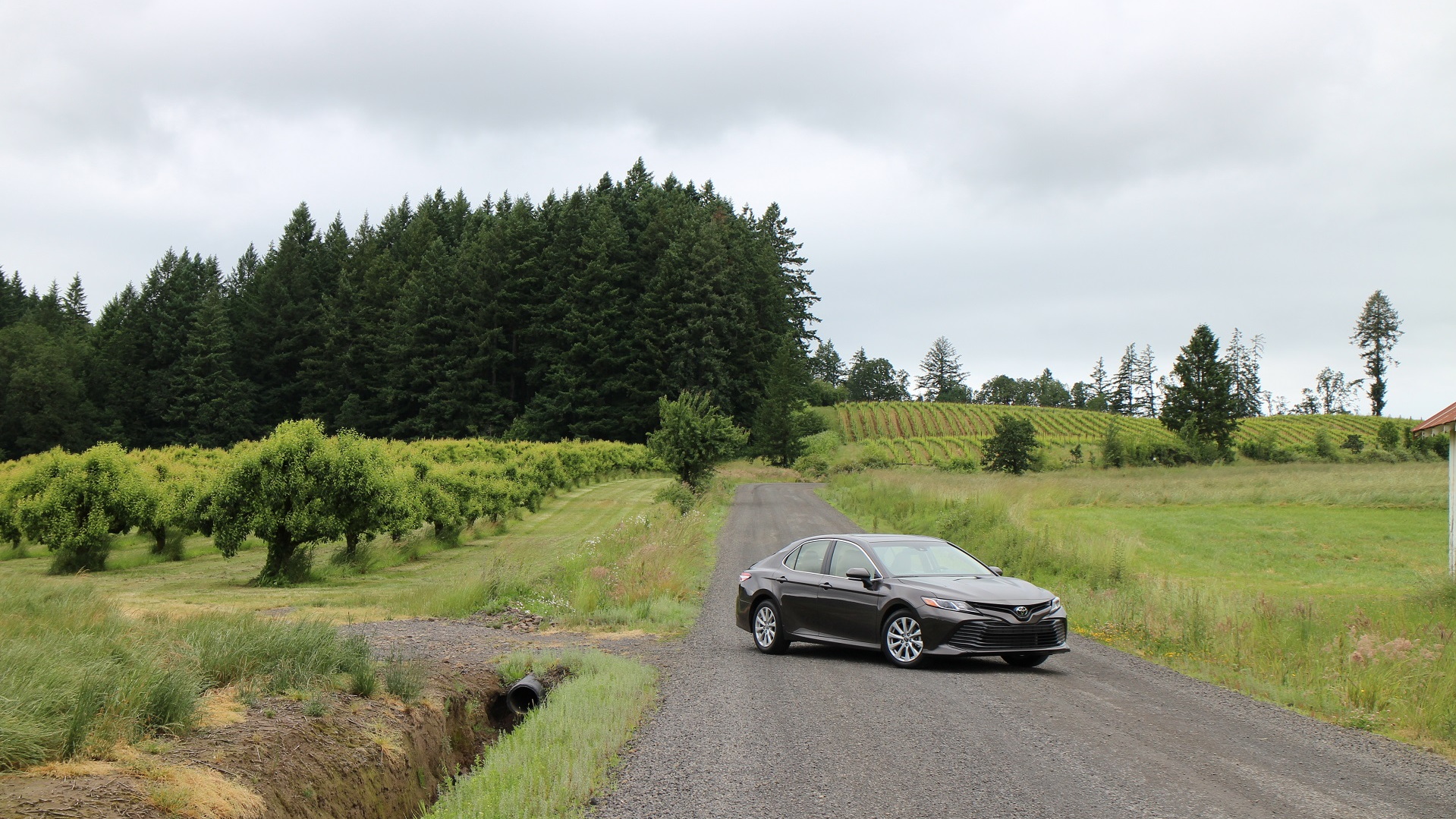 2018 Toyota Camry Hybrid LE, Willamette Valley, Oregon, June 2017