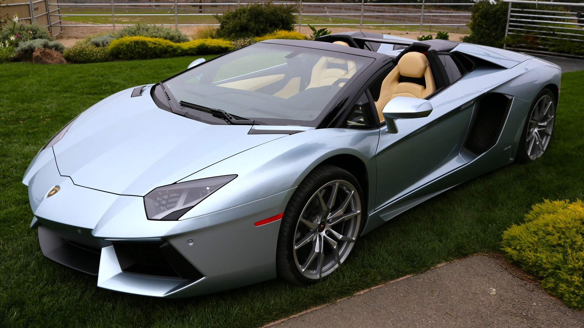 Lamborghini Aventador кабриолет 2020