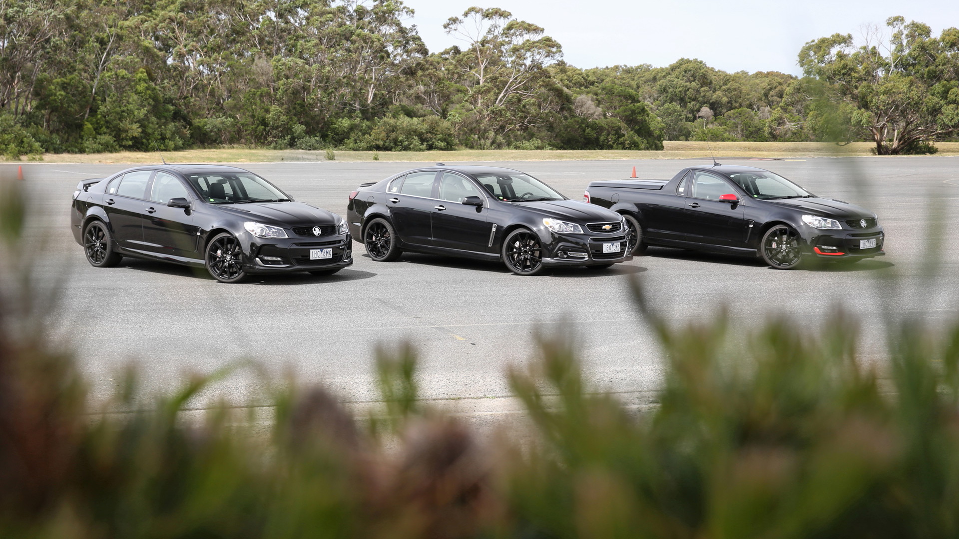2017 Holden Commodore Motorsport, Director and Magnum special editions